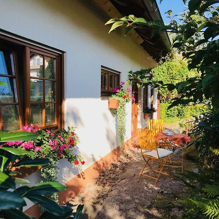 Ferienhaus Zirbe Rickenbach  Zewnętrze zdjęcie
